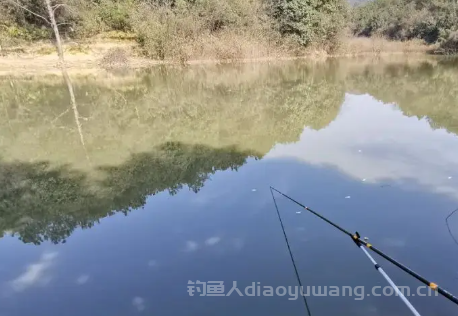 神聚小药真的好用吗?神聚小药最厉害三个药