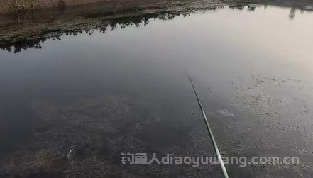 钓竿的几h是什么意思？钓竿几h最好？