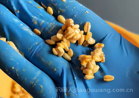 臭麦子饵料：野钓大鱼的终极秘密武器！ 2 