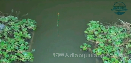 夏季野钓，天黑就停口该怎么钓？天黑就停口也就适合早晚做钓  