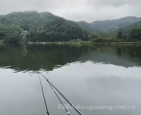 新手钓鱼该如何选择钓竿？2 