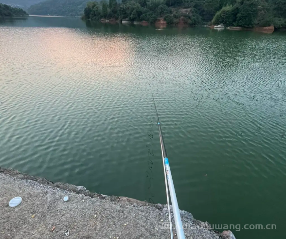 立秋后鱼都挪窝在这里，钓位满足4种要素，不打窝都能上鱼 